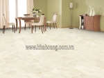 (80X80)ELEMENT BEIGE 804